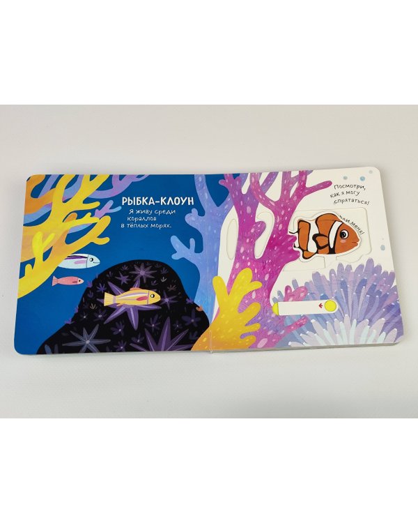 Смотрим, играем, запоминаем! В океане