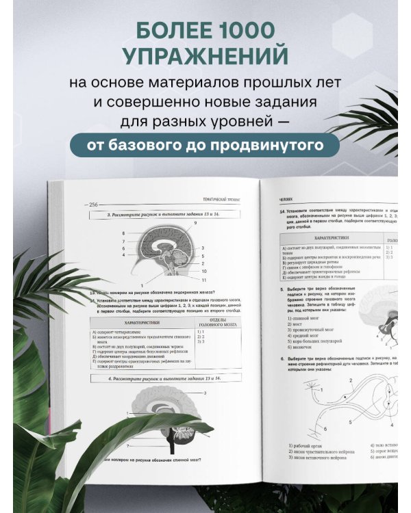 ЕГЭ по биологии. Тематический тренинг