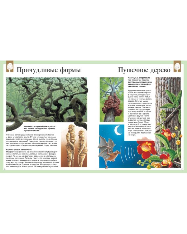 Детская энциклопедия. 250 чудес света