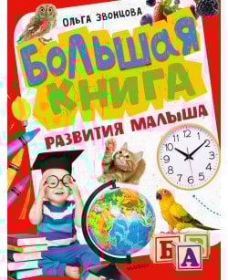 Большая книга