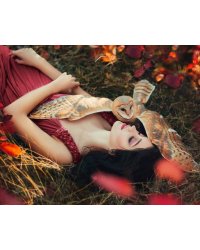 Алмаз мозаика (блест.) 30х40 см, без подр., с полн. зап.(29 цв.) Сова-сипуха и девушка (Арт. WL054)