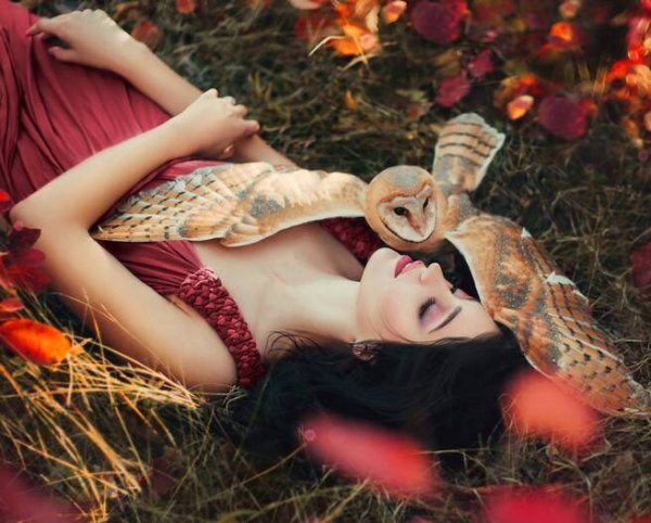 Алмаз мозаика (блест.) 30х40 см, без подр., с полн. зап.(29 цв.) Сова-сипуха и девушка (Арт. WL054)