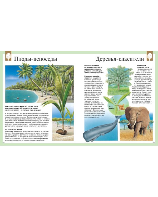 Детская энциклопедия. 250 чудес света