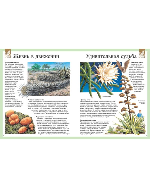 Детская энциклопедия. 250 чудес света