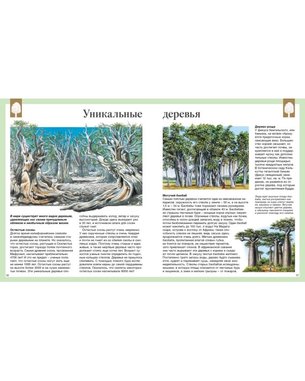 Детская энциклопедия. 250 чудес света