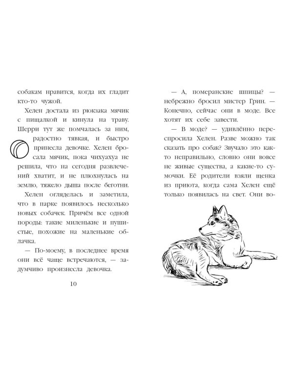 Летний щенок