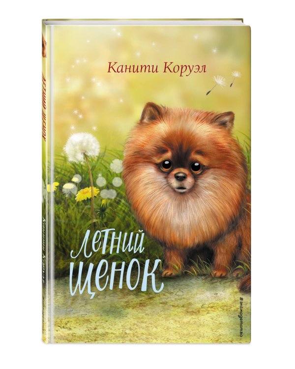 Летний щенок