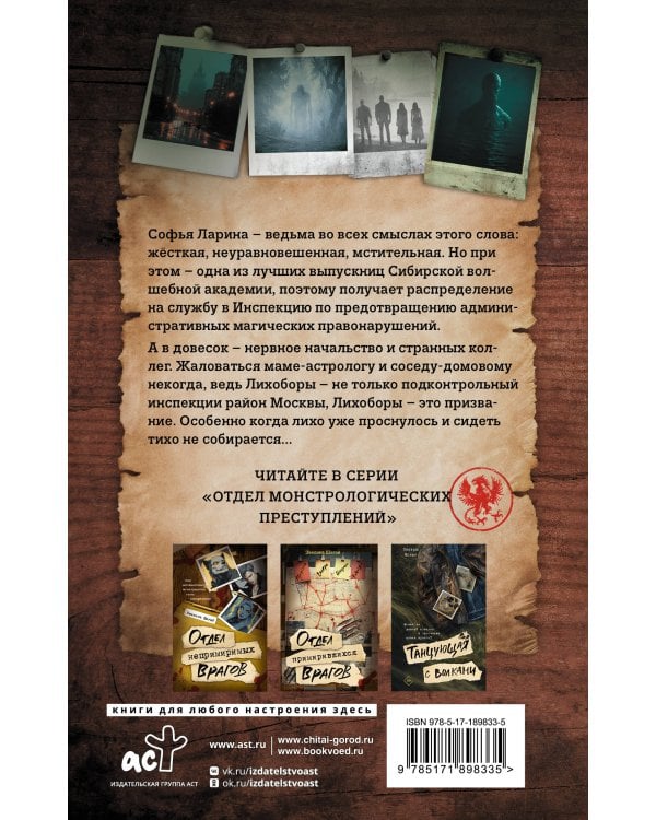 Дополнительное изображение книги «Лихоборы»
