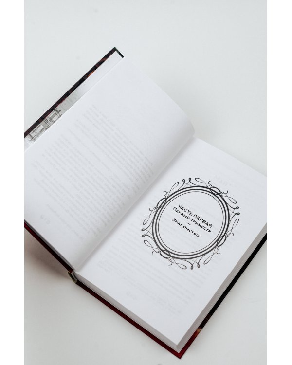 Одинокий замок в зазеркалье