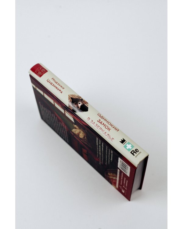 Одинокий замок в зазеркалье