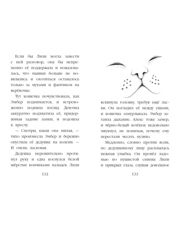 Тайна третьего котёнка