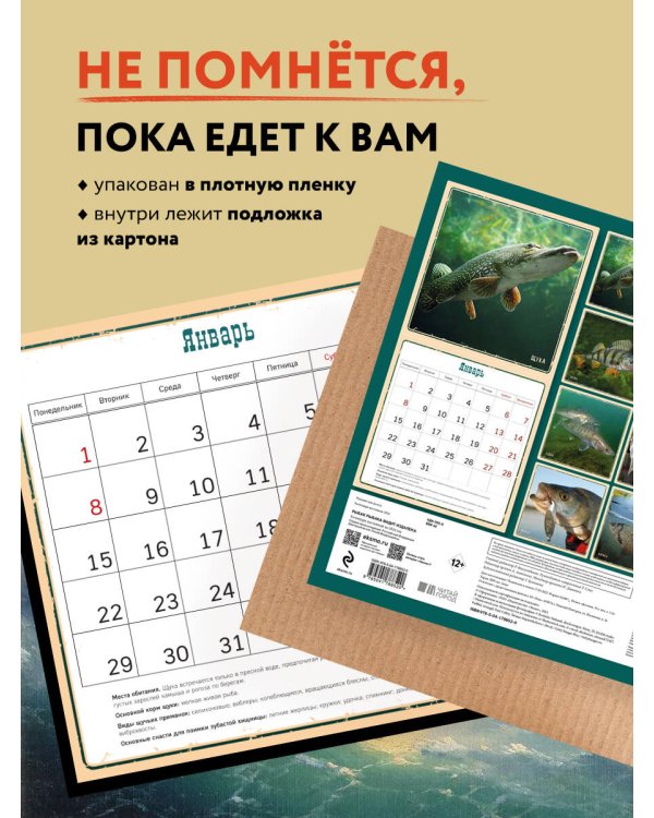 Рыбак рыбака видит издалека. Календарь настенный на 2024 год (300х300)