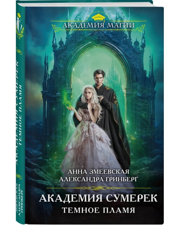 Академия сумерек. Темное пламя