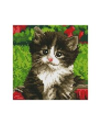 Алмаз. мозаика (класс.) 20х20 см, с подр., с полн. заполн. (17 цв.) МИЛЫЙ КОТЕНОК (AC20017)