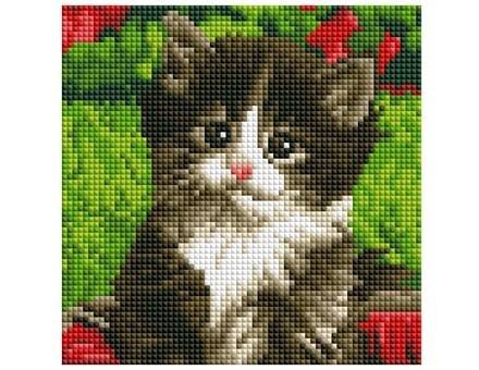 Алмаз. мозаика (класс.) 20х20 см, с подр., с полн. заполн. (17 цв.) МИЛЫЙ КОТЕНОК (AC20017)