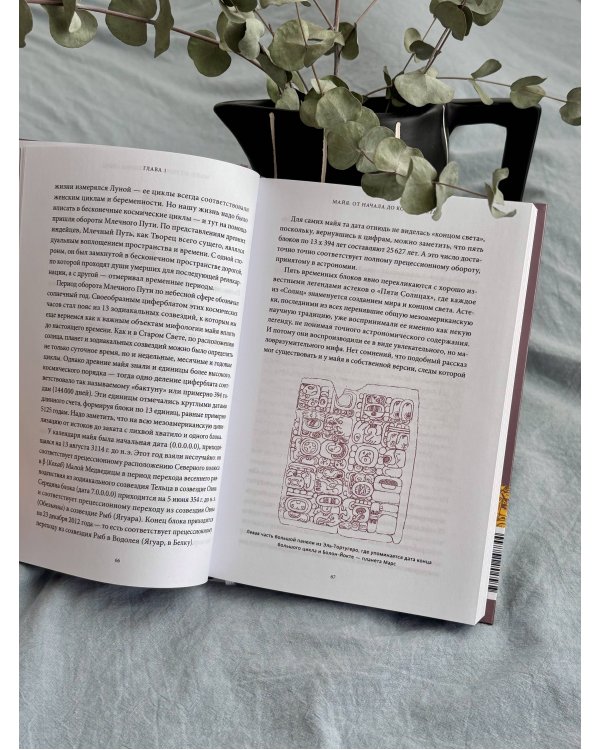 Мифы майя. От жертвоприношений и священного какао до книги «Пополь-Вух» и подземного царства Шибальбы