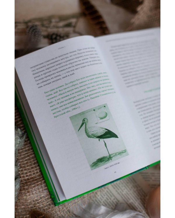 Белорусские мифы. От Мары и домашнего ужа до волколака и Злыдни