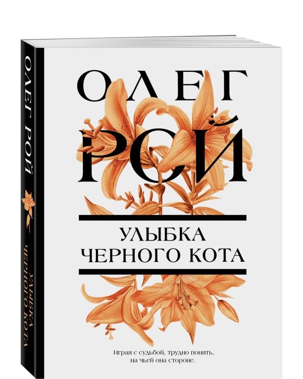 Улыбка черного кота