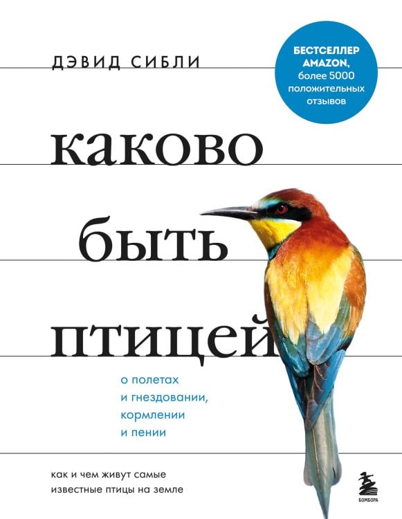 С природой наедине. Наблюдения и открытия Каково быть птицей. О полетах и гнездовании, кормлении и пении. Как и чем живут самые известные птиц