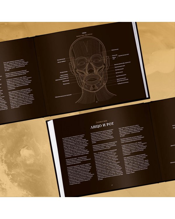 Анатомия в черном. Медицинский атлас для любителей роскоши и стиля