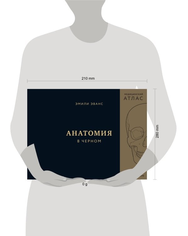 Анатомия в черном. Медицинский атлас для любителей роскоши и стиля