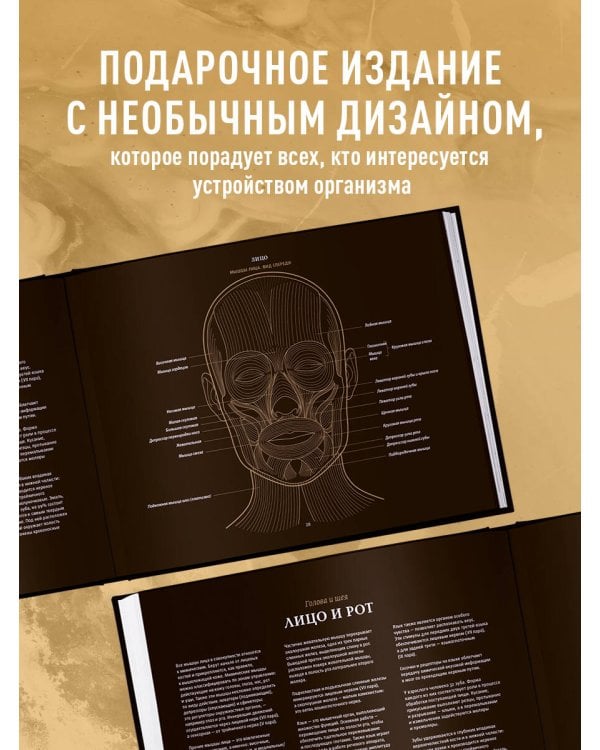 Анатомия в черном. Медицинский атлас для любителей роскоши и стиля