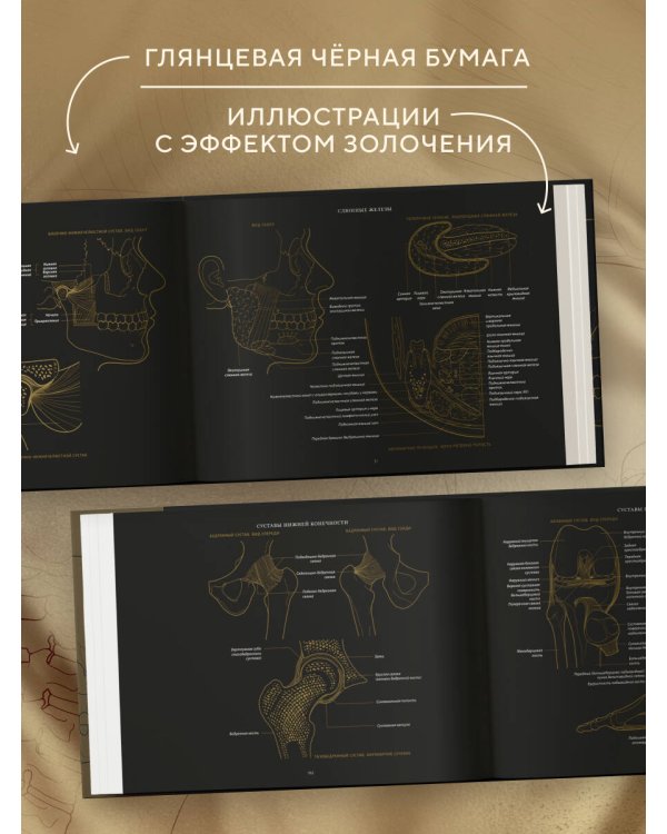 Анатомия в черном. Медицинский атлас для любителей роскоши и стиля
