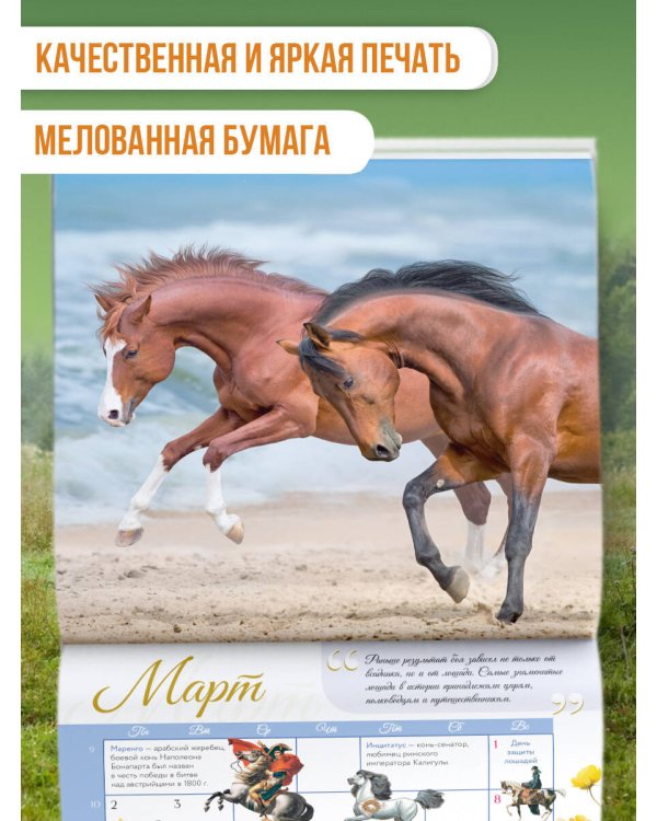 Календарь Лошади мира 2026 год