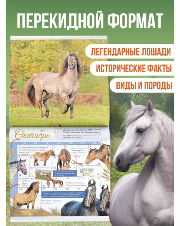 Календарь Лошади мира 2026 год