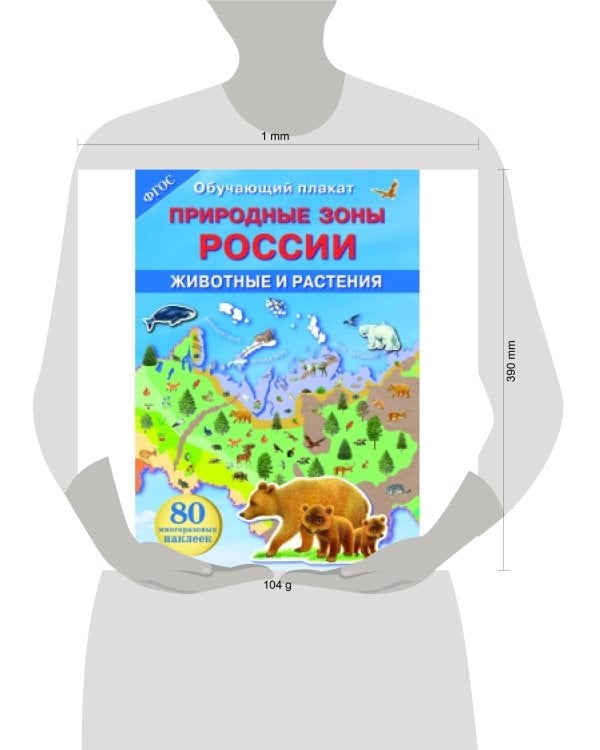 ОБУЧАЮЩИЙ ПЛАКАТ. Природные зоны России. Животные и растения