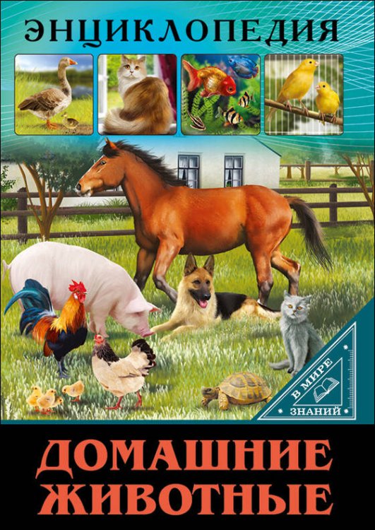 СЕРИЯ: ЭНЦИКЛОПЕДИЯ. В МИРЕ ЗНАНИЙ глянц.ламинация обл. офсет.бум. 170х245 (Проф-Пресс) ЭНЦИКЛОПЕДИЯ. В МИРЕ ЗНАНИЙ. ДОМАШНИЕ ЖИВОТНЫЕ