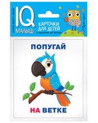 Умный малыш. Кто где находится? Набор карточек для детей.