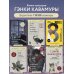 Дополнительное изображение книги «Если твоя память исчезнет (подарочное издание)»