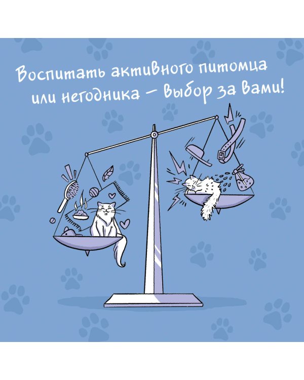 СаМЯУчитель. Как правильно играть с кошкой