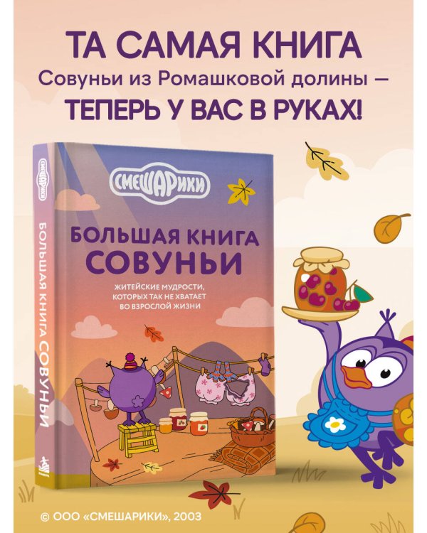 Дополнительное изображение книги «Большая книга Совуньи. Житейские мудрости, которых так не хватает во взрослой жизни»