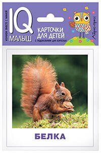 IQ-малыш (Айрис) Умный малыш . Кто живёт в лесу? Набор карточек для детей.