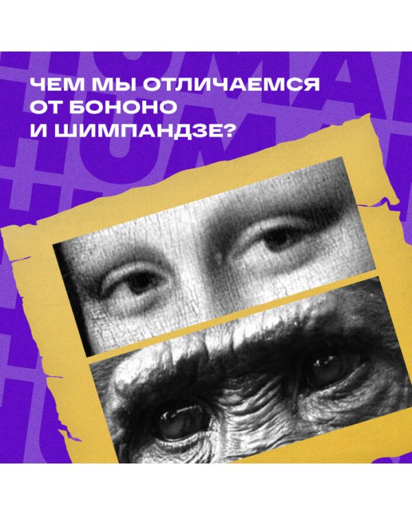 Выживает самый дружелюбный. Почему женщины выбирают добродушных мужчин, молодежь избегает агрессии и другие парадоксы, которые помогут узнать себя лучше