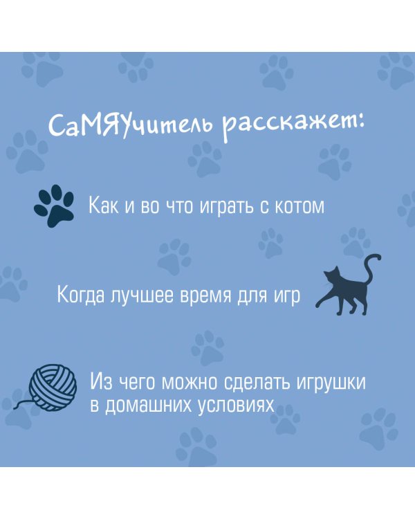 СаМЯУчитель. Как правильно играть с кошкой