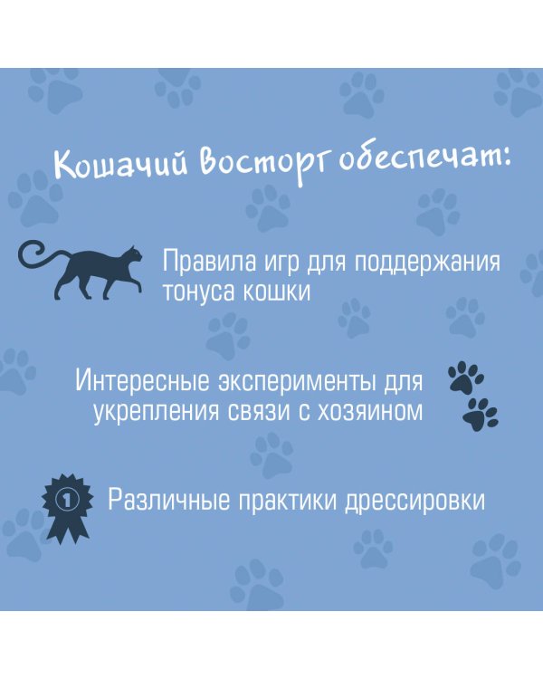 СаМЯУчитель. Как правильно играть с кошкой