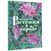 Оглянись вокруг Растения в городе