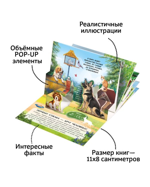 Набор «Карманная POP-UP энциклопедия. Комплект №2» от 19.01.2023
