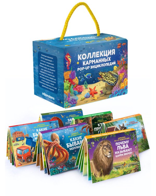 Набор «Карманная POP-UP энциклопедия. Комплект №2» от 19.01.2023