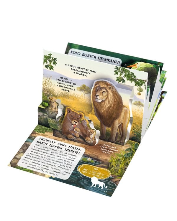 Набор «Карманная POP-UP энциклопедия. Комплект №2» от 19.01.2023