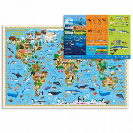 РОСТОМЕРЫ (ГеоДом) Карта 58х38 см. Наша планета. Животный и растительный мир. Настенная двухсторонняя. ГЕОДОМ