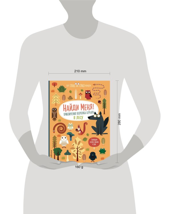 Найди меня! Приключения волчонка Бернара в лесу