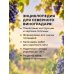Дополнительное изображение книги «Энциклопедия виноградаря»