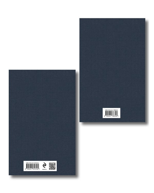 Расшифрованный Евгений Онегин (набор из 2 книг: Евгений Онегин, Комментарии к роману «Евгений Онегин». Биография А. С. Пушкина)