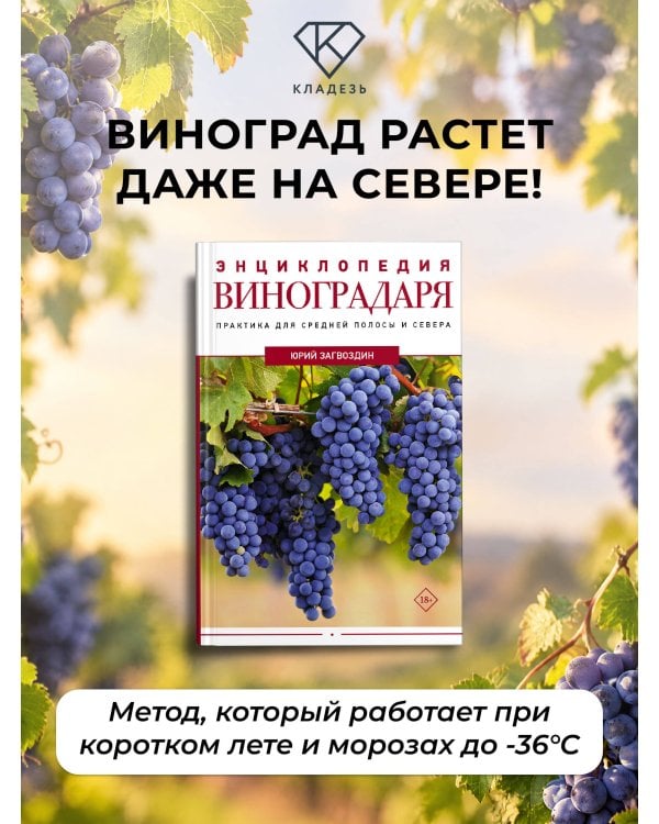 Дополнительное изображение книги «Энциклопедия виноградаря»