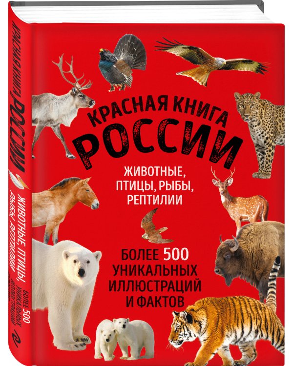 Красная книга России. Большой формат. Более 500 уникальных иллюстраций и фактов (новое издание) (основной)