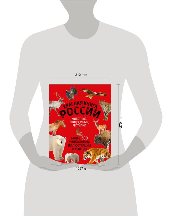 Красная книга России. Большой формат. Более 500 уникальных иллюстраций и фактов (новое издание) (основной)